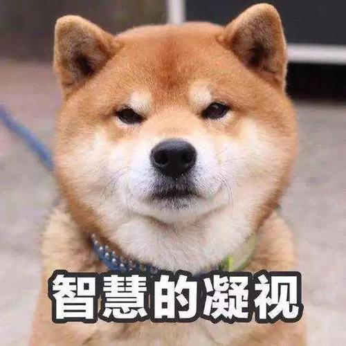 為什么說冬季采暖室溫不超過22℃最舒適最健康？(圖6)
